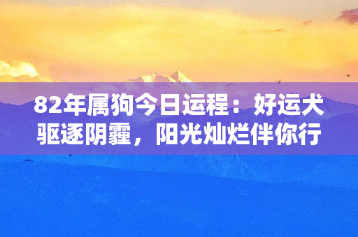 82年属狗今日运程：好运犬驱逐阴霾，阳光灿烂伴你行