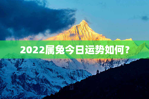 2022属兔今日运势如何？