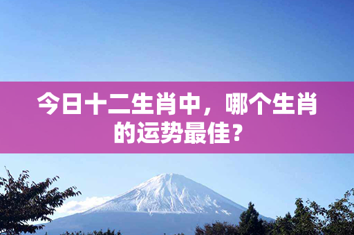 今日十二生肖中，哪个生肖的运势最佳？