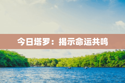 今日塔罗：揭示命运共鸣