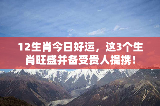 12生肖今日好运，这3个生肖旺盛并备受贵人提携！