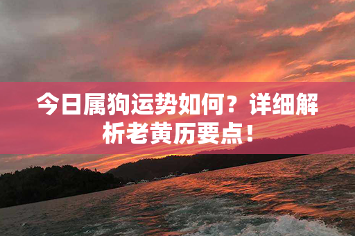 今日属狗运势如何？详细解析老黄历要点！