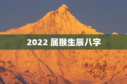 2022 属猴生辰八字