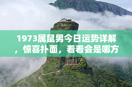 1973属鼠男今日运势详解，惊喜扑面，看看会是哪方面的好运呢？