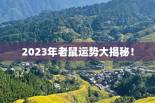 2023年老鼠运势大揭秘！