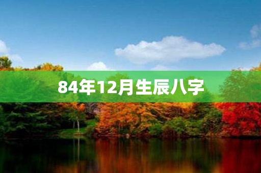 84年12月生辰八字