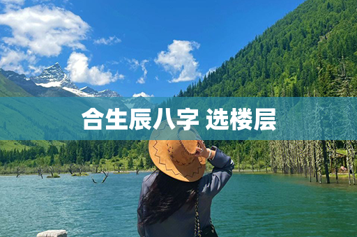 合生辰八字 选楼层