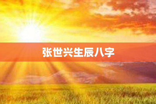 张世兴生辰八字