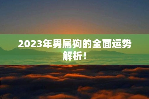 2023年男属狗的全面运势解析！