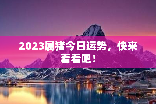 2023属猪今日运势，快来看看吧！