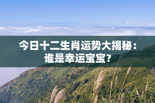 今日十二生肖运势大揭秘：谁是幸运宝宝？