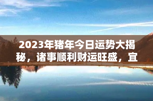 2023年猪年今日运势大揭秘，诸事顺利财运旺盛，宜把握机遇追求成功