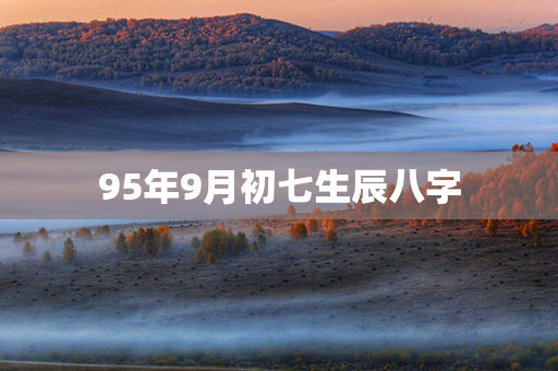 95年9月初七生辰八字