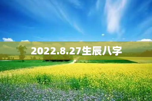 2022.8.27生辰八字