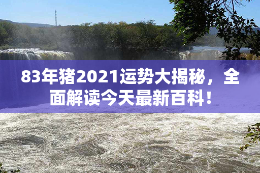 83年猪2021运势大揭秘，全面解读今天最新百科！