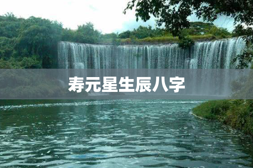 寿元星生辰八字