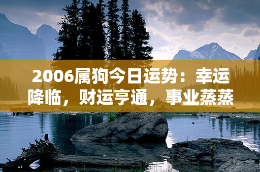 2006属狗今日运势：幸运降临，财运亨通，事业蒸蒸日上！