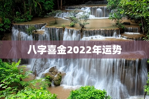 八字喜金2022年运势