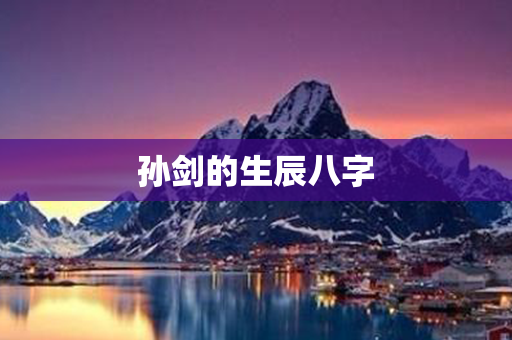 孙剑的生辰八字