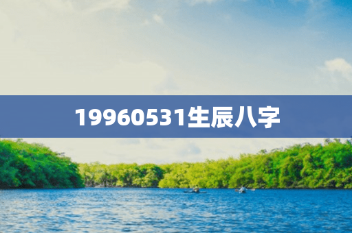 19960531生辰八字