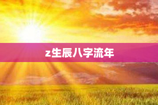 z生辰八字流年