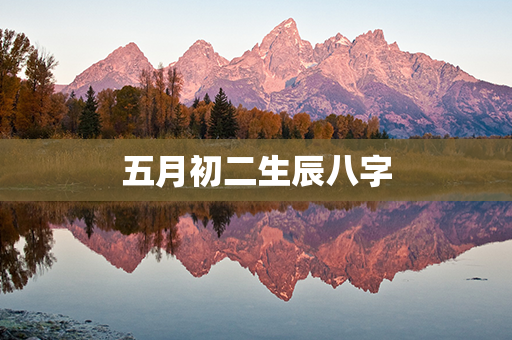 五月初二生辰八字