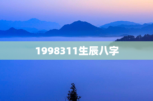 1998311生辰八字