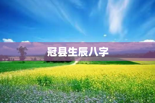 冠县生辰八字