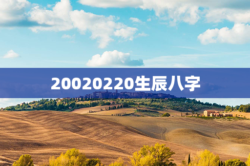 20020220生辰八字