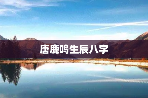 唐鹿鸣生辰八字