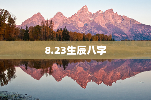 8.23生辰八字