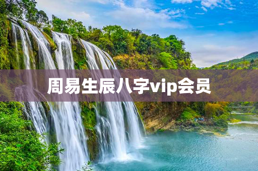 周易生辰八字vip会员