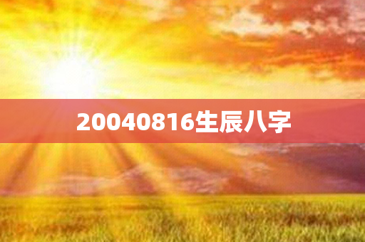 20040816生辰八字