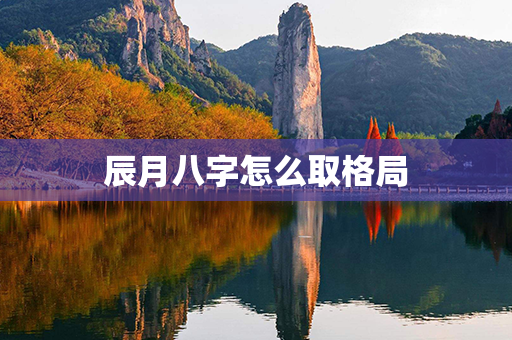 辰月八字怎么取格局