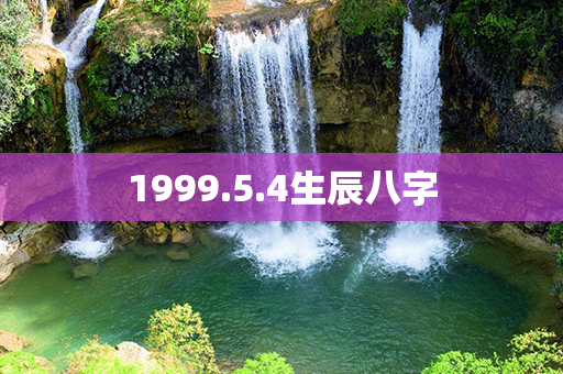 1999.5.4生辰八字