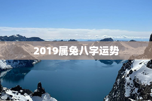 2019属兔八字运势