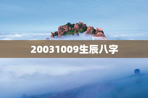 20031009生辰八字