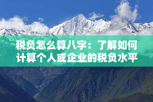 税负怎么算八字：了解如何计算个人或企业的税负水平