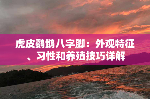 虎皮鹦鹉八字脚：外观特征、习性和养殖技巧详解