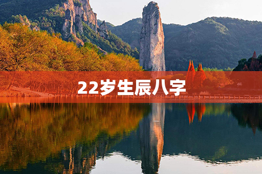 22岁生辰八字