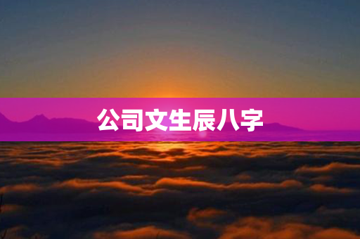 公司文生辰八字