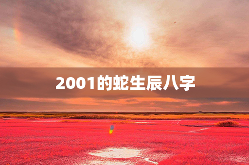 2001的蛇生辰八字