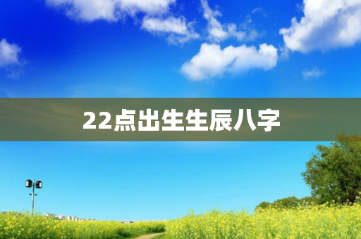 22点出生生辰八字