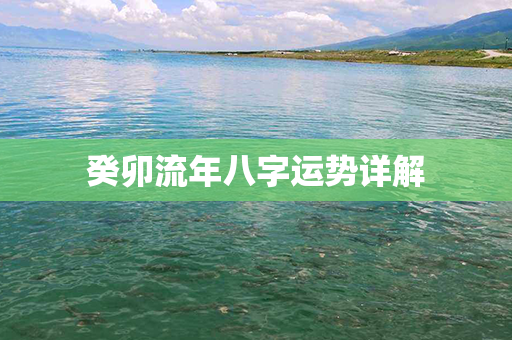 癸卯流年八字运势详解