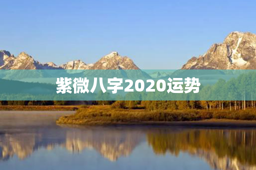 紫微八字2020运势