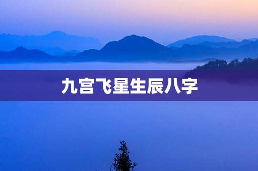 九宫飞星生辰八字