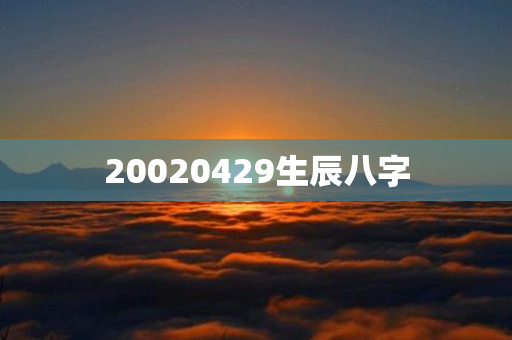 20020429生辰八字