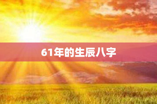 61年的生辰八字