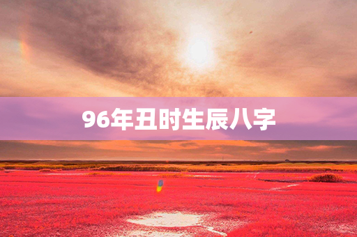 96年丑时生辰八字