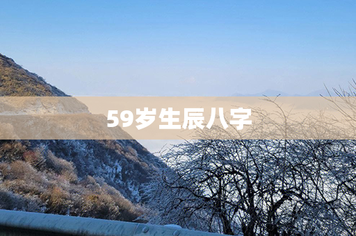 59岁生辰八字